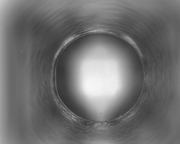 X0000056361146200509161821