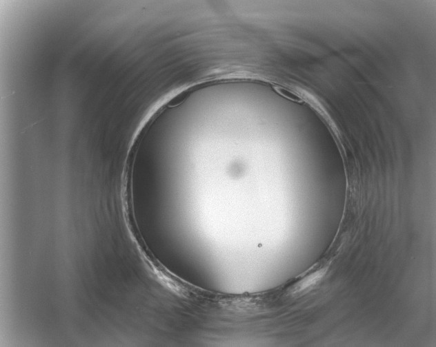 X0000056361149200509161821