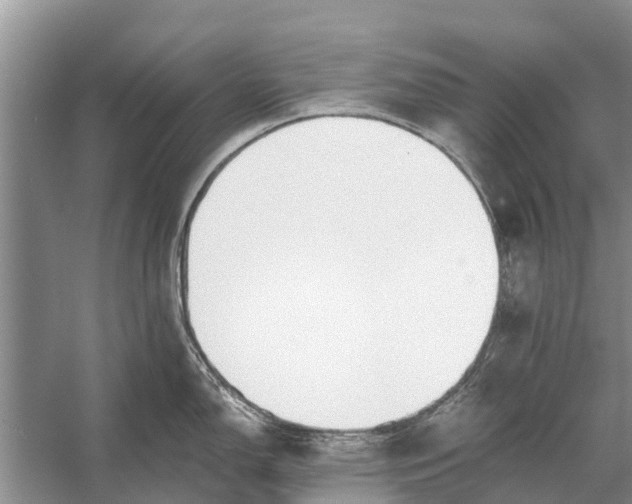 X0000056361150200509161821