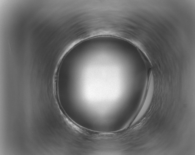 X0000056361151200509161821