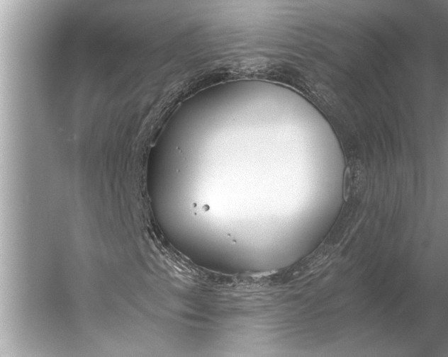 X0000056361153200509161821