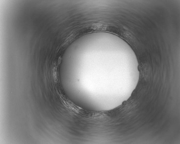 X0000056361154200509161821