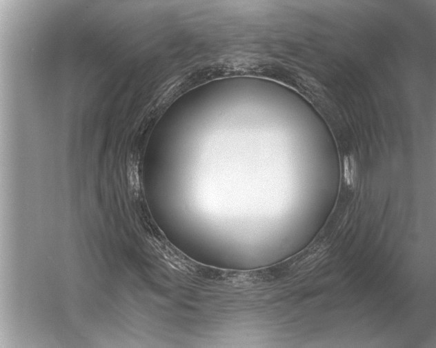 X0000056361155200509161821