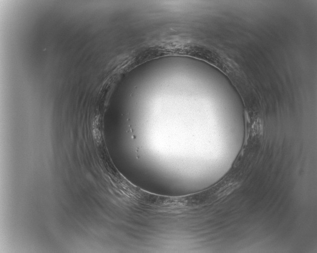 X0000056361156200509161821