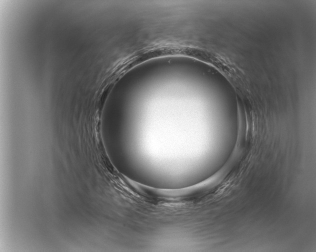 X0000056361157200509161821