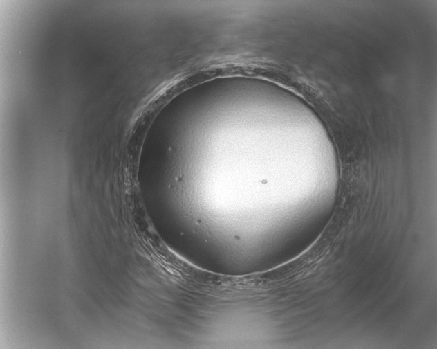 X0000056361159200509161820