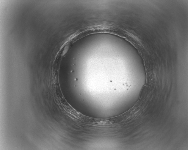 X0000056361160200509161820