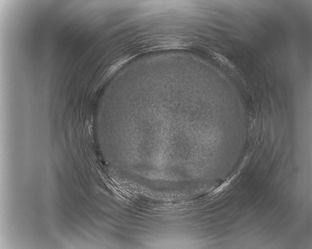 X0000056361161200509161820