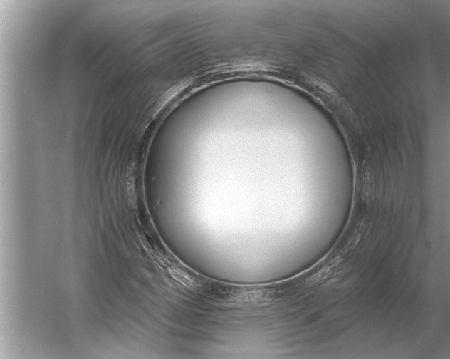 X0000056361162200509161820