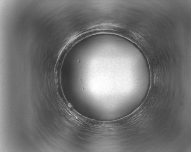 X0000056361164200509161820