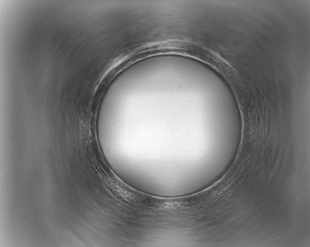 X0000056361166200509161820