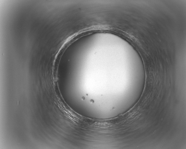 X0000056361168200509161820