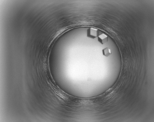 X0000056361170200509161820