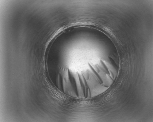 X0000056361173200509161820