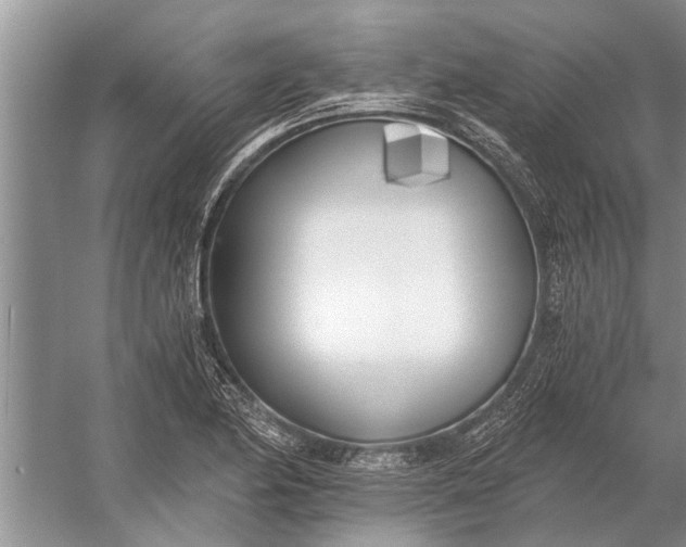 X0000056361174200509161820