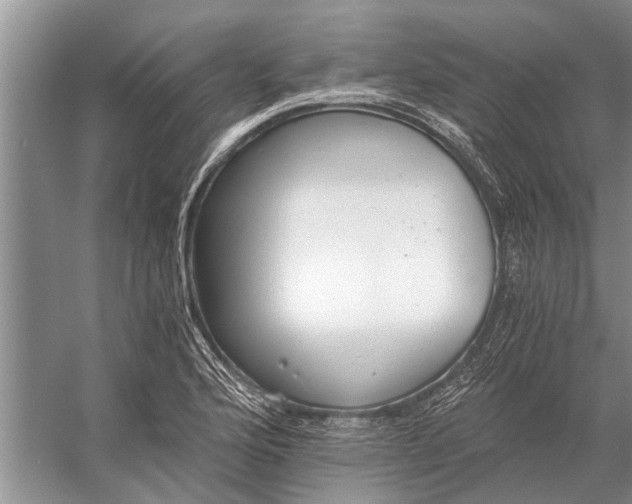 X0000056361176200509161820