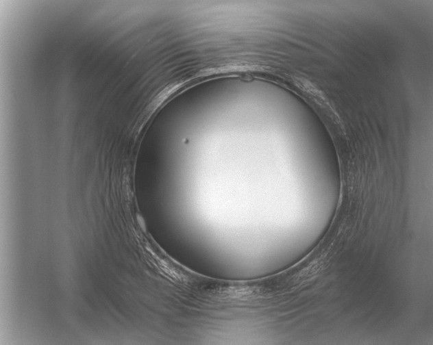 X0000056361177200509161820