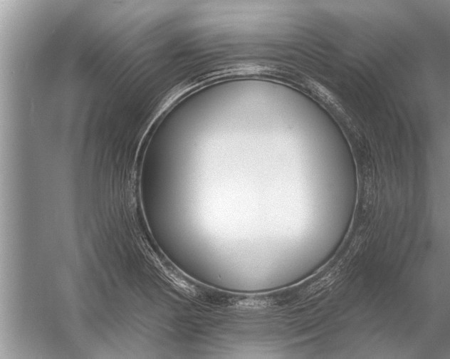 X0000056361178200509161820