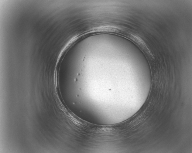 X0000056361180200509161820