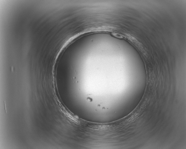 X0000056361184200509161820