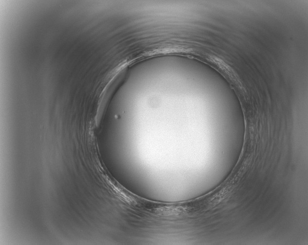 X0000056361185200509161820