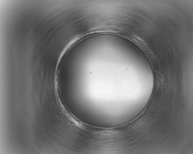 X0000056361188200509161820