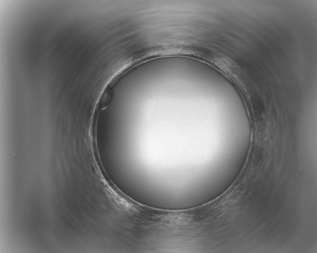 X0000056361189200509161820