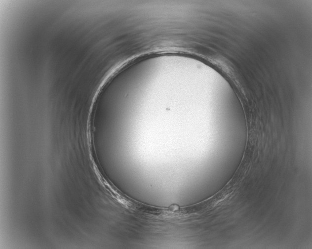 X0000056361191200509161820