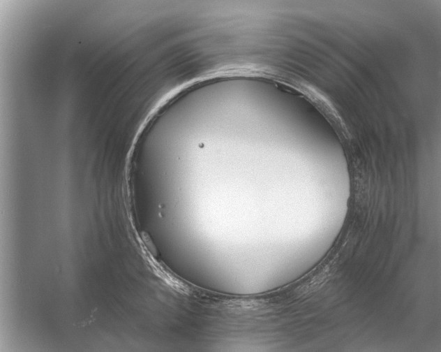 X0000056361192200509161820