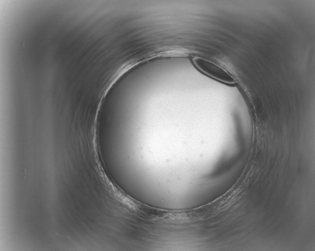 X0000056361194200509161820