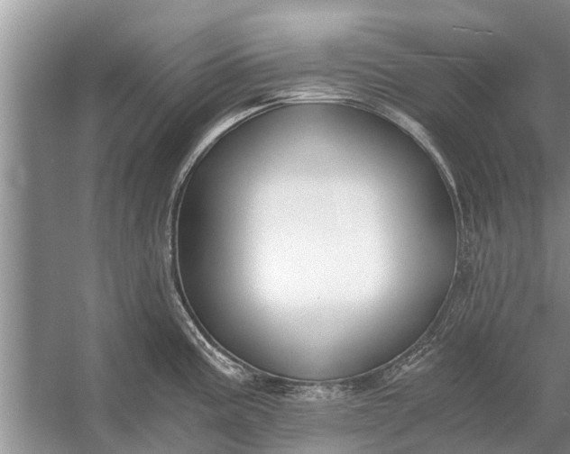 X0000056361195200509161820