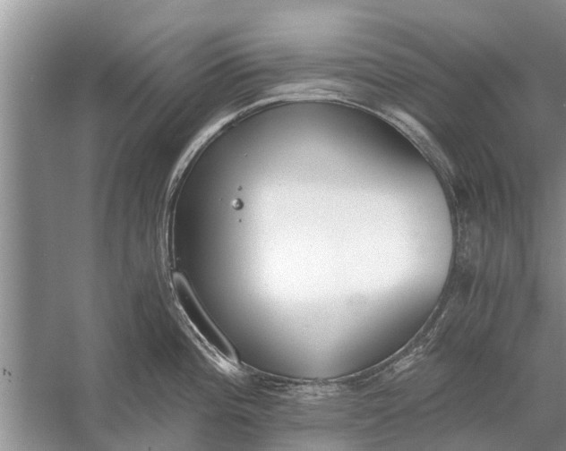 X0000056361196200509161820