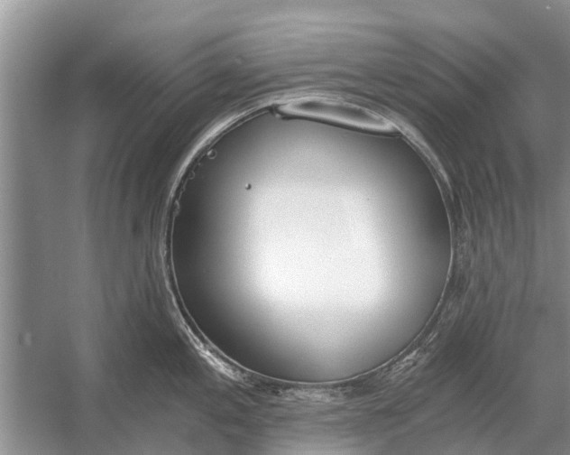 X0000056361197200509161820