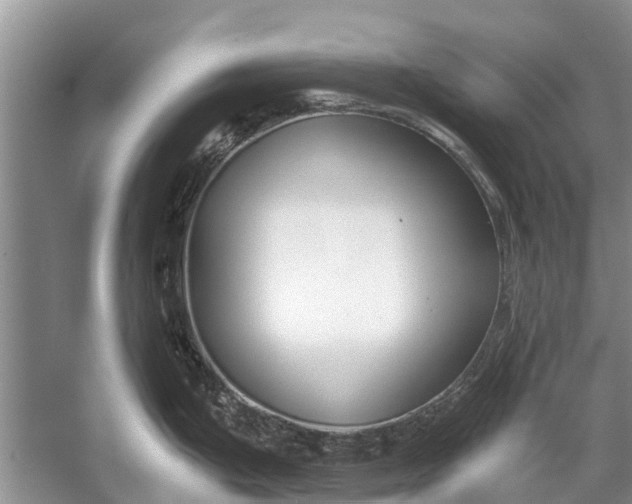 X0000056361199200509161820