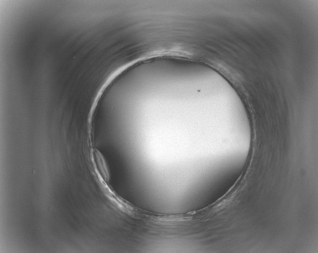 X0000056361200200509161820