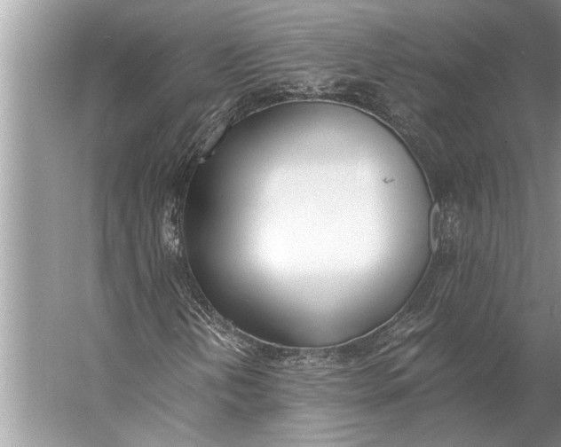 X0000056361202200509161819