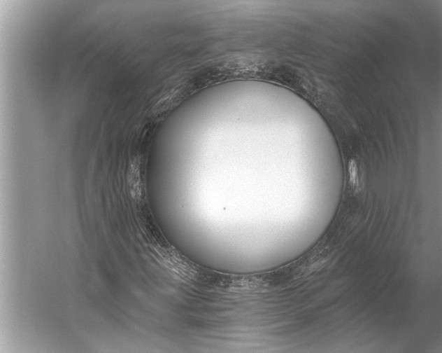 X0000056361203200509161819