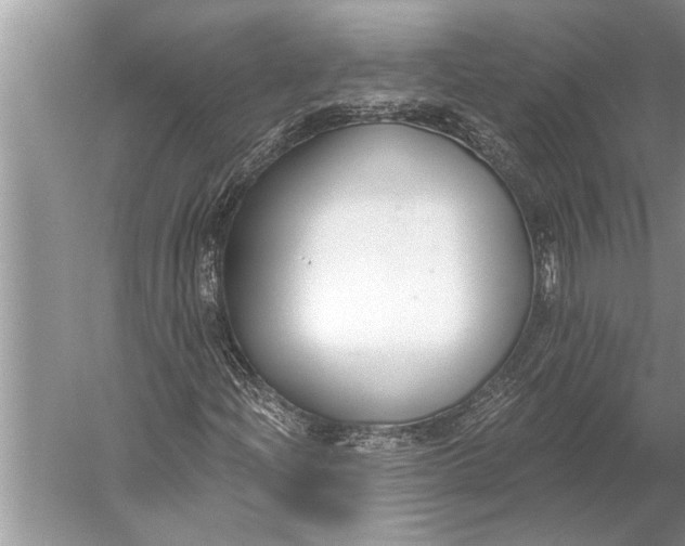 X0000056361204200509161819