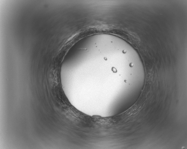 X0000056361205200509161819