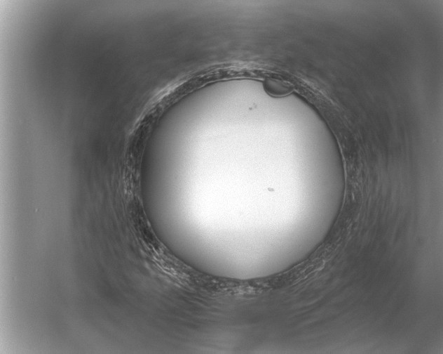 X0000056361207200509161819