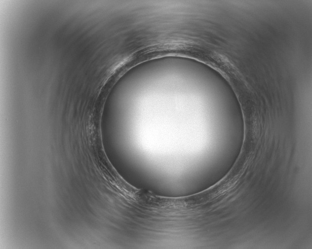 X0000056361210200509161819