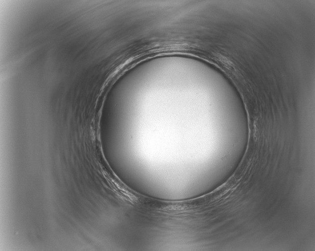 X0000056361212200509161819