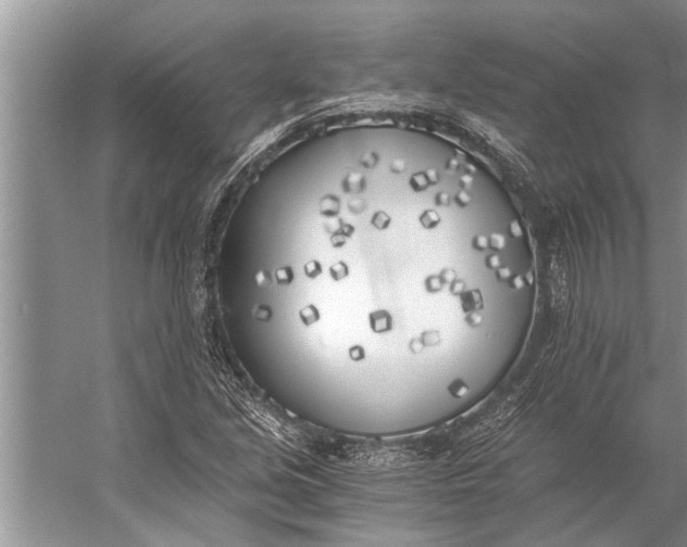 X0000056361213200509161819