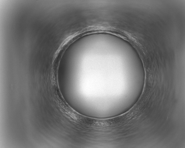 X0000056361215200509161819