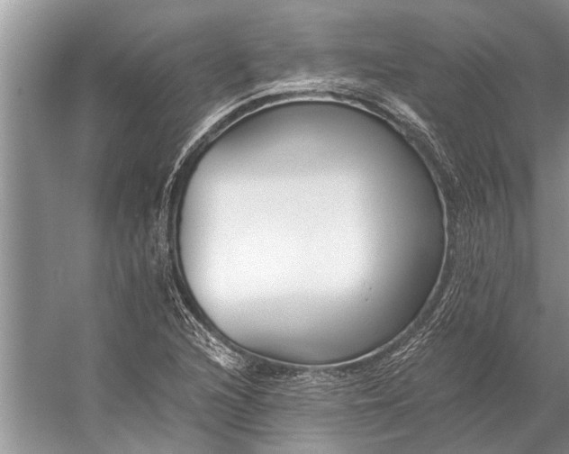 X0000056361216200509161819