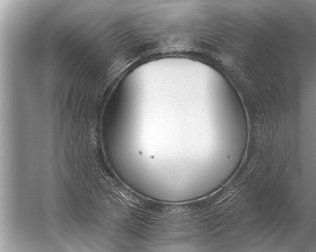 X0000056361217200509161819