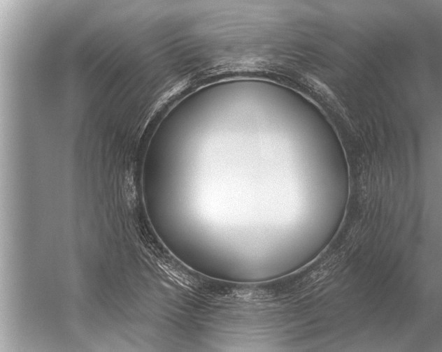 X0000056361218200509161819