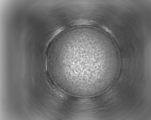 X0000056361219200509161819