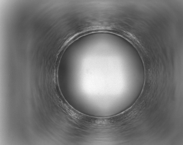 X0000056361220200509161819