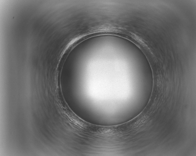 X0000056361222200509161819